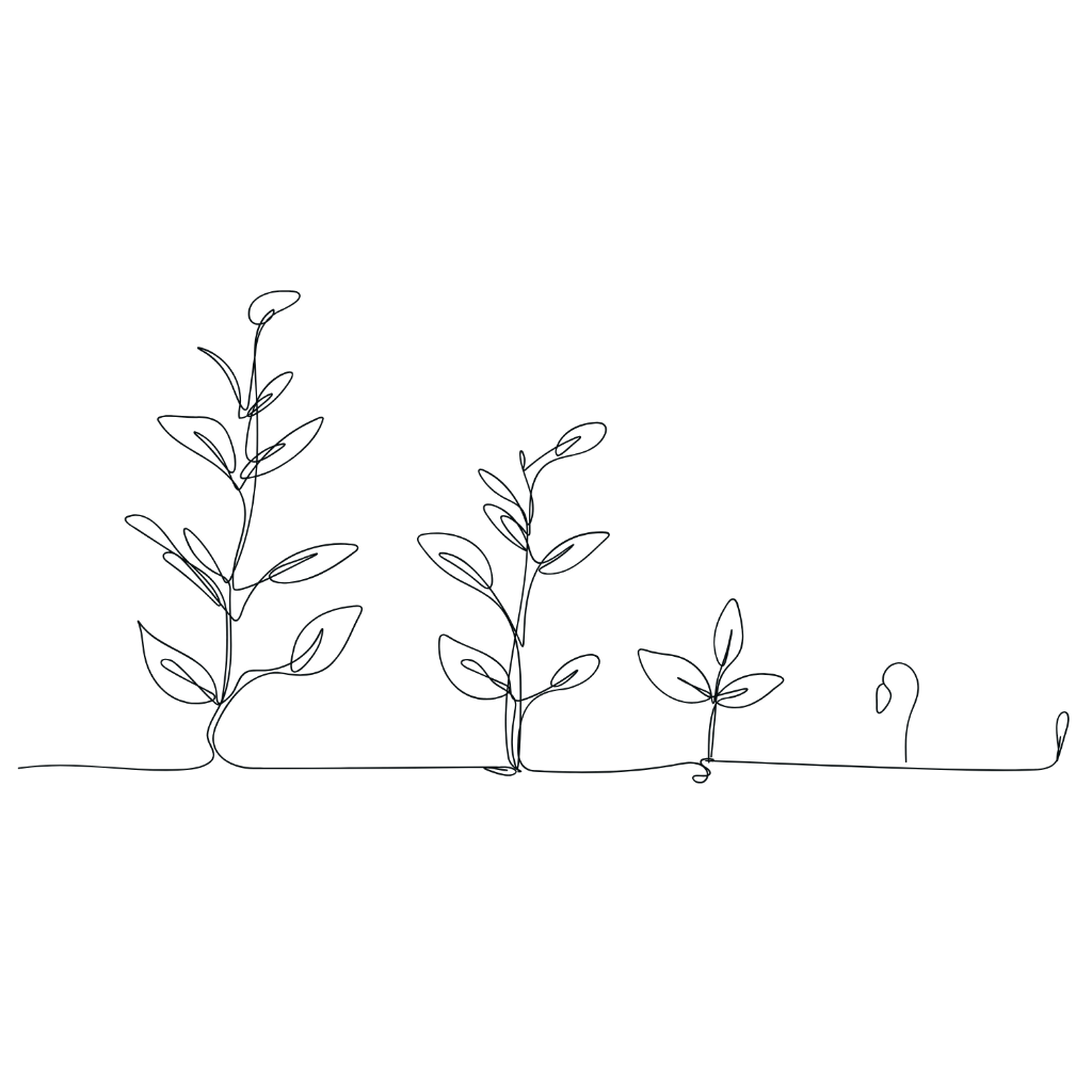 Growth Decor Right